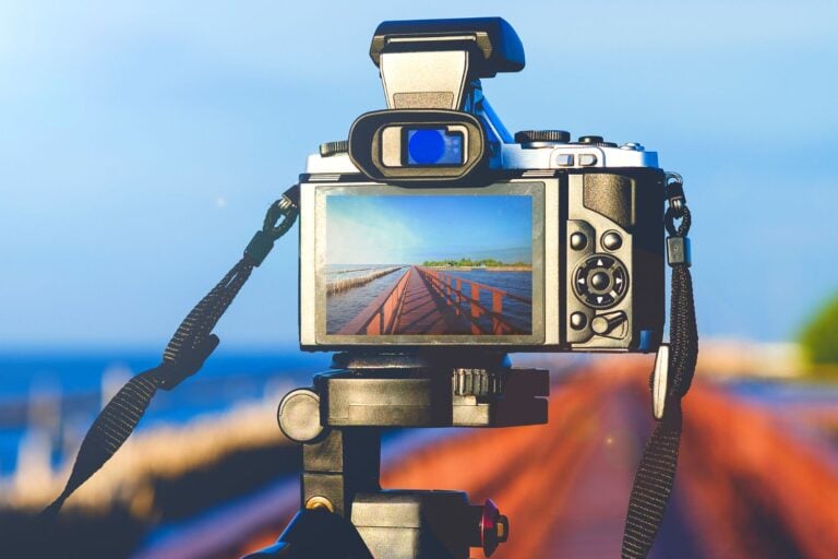 Point of View: Definition and Examples