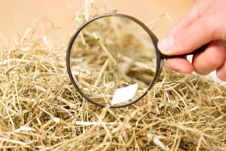 Analogy: Definition and Examples