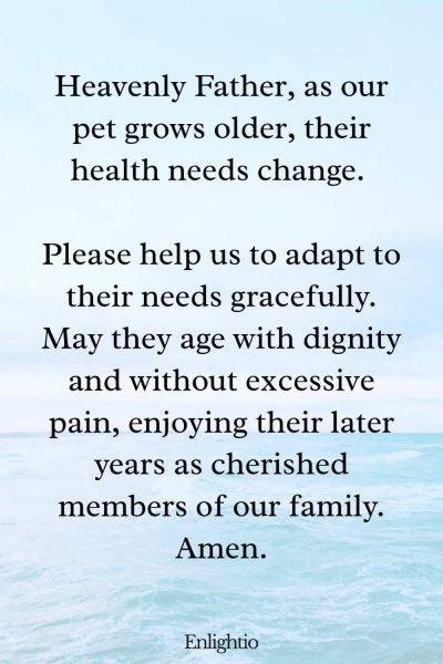 Prayer for Aging Pets: Heavenly Father, as our pet grows older, their health needs change. Please help us to adapt to their needs gracefully. May they age with dignity and without excessive pain, enjoying their later years as cherished members of our family. Amen.