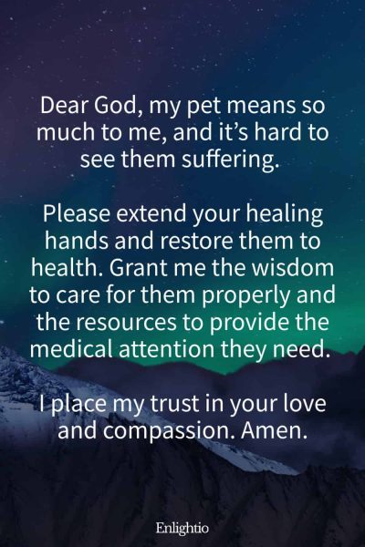 Prayer for Help for a Sick Pet: Dear God, my pet means so much to me, and it’s hard to see them suffering. Please extend your healing hands and restore them to health. Grant me the wisdom to care for them properly and the resources to provide the medical attention they need. I place my trust in your love and compassion. Amen.
