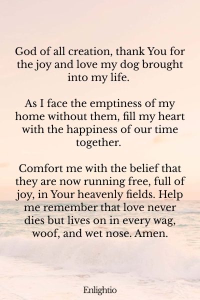 Prayer for the Loss of a Dog: God of all creation, thank You for the joy and love my dog brought into my life. As I face the emptiness of my home without them, fill my heart with the happiness of our time together. Comfort me with the belief that they are now running free, full of joy, in Your heavenly fields. Help me remember that love never dies but lives on in every wag, woof, and wet nose. Amen.