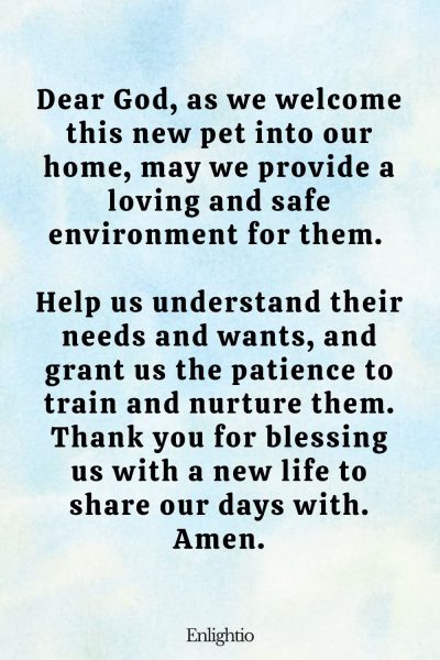 Prayers for Pets (for a Loving Home): Dear God, as we welcome this new pet into our home, may we provide a loving and safe environment for them. Help us understand their needs and wants, and grant us the patience to train and nurture them. Thank you for blessing us with a new life to share our days with. Amen.