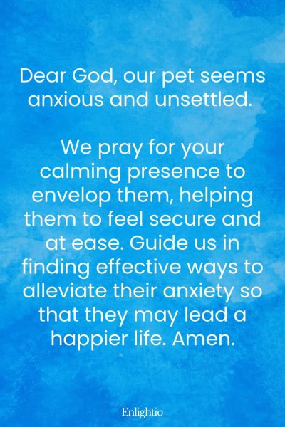 Prayers for Pets (for Calming Anxiety): Dear God, our pet seems anxious and unsettled. We pray for your calming presence to envelop them, helping them to feel secure and at ease. Guide us in finding effective ways to alleviate their anxiety so that they may lead a happier life. Amen.