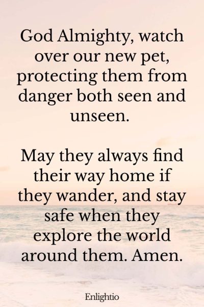 Prayers for Pets (for Divine Protection): God Almighty, watch over our new pet, protecting them from danger both seen and unseen. May they always find their way home if they wander, and stay safe when they explore the world around them. Amen.