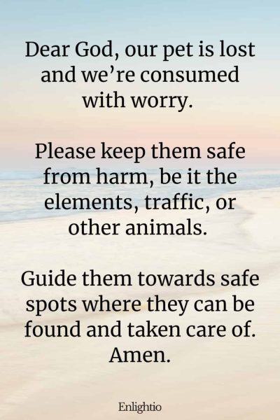 Prayers for Pets (for Immediate Safety): Dear God, our pet is lost and we’re consumed with worry. Please keep them safe from harm, be it the elements, traffic, or other animals. Guide them towards safe spots where they can be found and taken care of. Amen.