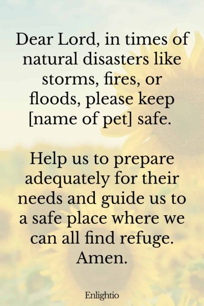 Prayers for Pets (for Protection from Natural Disasters): Dear Lord, in times of natural disasters like storms, fires, or floods, please keep [name of pet] safe. Help us to prepare adequately for their needs and guide us to a safe place where we can all find refuge. Amen.