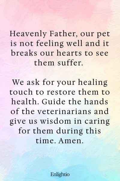 Prayers for Pets (for Recovery from Sickness): Heavenly Father, our pet is not feeling well and it breaks our hearts to see them suffer. We ask for your healing touch to restore them to health. Guide the hands of the veterinarians and give us wisdom in caring for them during this time. Amen.