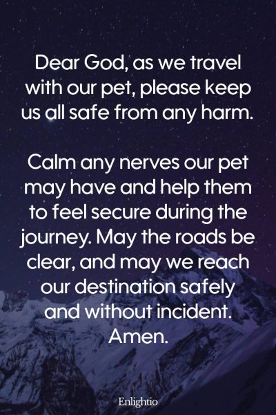 Prayers for Pets (for Safe Travels): Dear God, as we travel with our pet, please keep us all safe from any harm. Calm any nerves our pet may have and help them to feel secure during the journey. May the roads be clear, and may we reach our destination safely and without incident. Amen.