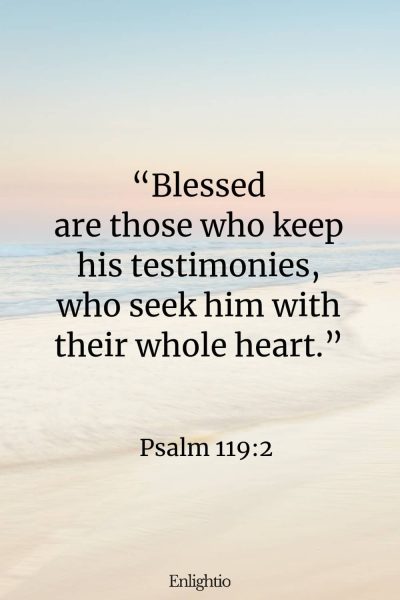 Wednesday Bible Verse: “Blessed are those who keep his testimonies, who seek him with their whole heart.” Psalm 119:2