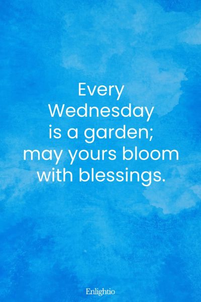 Wednesday Blessing: Every Wednesday is a garden; may yours bloom with blessings.